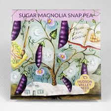 HV Sugar Magnolia Snap Pea